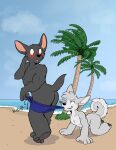  absurd_res anthro beach canid canine canis clothing coppertone_pose domestic_dog duo federick fox_(housepets!) hi_res housepets! male mammal mungo_(housepets!) palm_tree plant sand sea seaside swimming_trunks swimwear tree water webcomic 