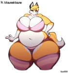  2018 absurd_res anthro artist_name bedroom_eyes belly big_belly big_breasts bra breast_squish breasts canid canine cleavage cleavage_overflow clothed clothing curvy_figure digital_media_(artwork) eyelashes female fingers footwear fox fur hair hand_on_hip hi_res huge_breasts inner_ear_fluff long_socks looking_at_viewer mammal multicolored_body multicolored_fur narrowed_eyes navel orange_body orange_fur orange_hair overweight overweight_anthro overweight_female panties seductive simple_background simple_eyes smile socks solo squish standing superix thick_thighs tuft two_tone_body two_tone_fur underwear voluptuous white_background white_body white_fur wide_hips zera_(titsunekitsune) 