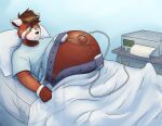  ailurid anthro bed belt furniture hospital hospital_gown lying male mammal medical_instrument monitor pillow pregnant pregnant_male randomgirl1265 red_panda scientific_instrument solo wristband 