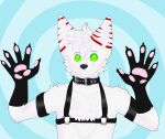  absurd_res astroviks bdsm canid canine collar fennec fox fur handpaw harness hi_res hypnosis male mammal mind_control pawpads paws solo white_body white_fur 