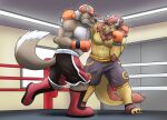  anthro boxing_gloves canid canine canis chimera clothing duo fighting_ring geodani handwear hi_res male mammal wolf 
