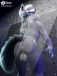  3:4 3d_(artwork) anthro anus balls butt canid canine canis claws detailed detailed_fur digital_media_(artwork) finger_claws fur genitals glass grey_body grey_fur head_tuft hi_res looking_back low-angle_view male mammal nude raised_tail rear_view smile solo text tuft url wall_(structure) watermark wolf zorryn 