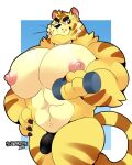 animal_crossing anthro big_muscles black_clothing black_thong black_underwear bulge clothing dumbbell exercise felid fur hi_res huge_pecs male mammal muscular muscular_anthro muscular_male nintendo nipples pantherine schwarzfox solo thong tiger tybalt_(animal_crossing) underwear video_games weightlifting weights workout yellow_body yellow_fur 