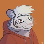  1:1 2021 anthro chromatic_aberration clothed clothing felid fully_clothed headshot_portrait hi_res hoodie icon looking_at_viewer male mammal pantherine portrait smile smiling_at_viewer solo sweater terenus thelivingtrashcan tiger topwear 