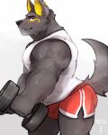 2021 anthro anubian_jackal big_muscles bodily_fluids bottomwear bulge canid canine canis clothing dumbbell ear_piercing ear_ring exercise eyebrows fur hi_res hotpants jackal looking_aside looking_at_viewer makowolf1 male mammal markings muscular muscular_anthro muscular_male piercing shirt shorts side_view simple_background smile solo standing sweat tank_top topwear tuft weightlifting weights white_background workout 