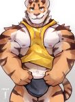  2021 anthro big_bulge big_muscles bulge clothing eyebrows felid front_view fur hi_res looking_at_viewer makowolf1 male mammal muscular muscular_anthro muscular_male nipples pantherine pecs shirt simple_background smile smirk solo standing tank_top tiger topwear tuft underwear white_background 