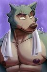  2021 abs anthro areola beastars blue_body blue_fur breath brown_nipples brown_nose bust_portrait canid canine canis chest_tuft clothed clothing digital_media_(artwork) eyebrows facial_scar fur glistening glistening_nipples hi_res legoshi_(beastars) male mammal muscular muscular_anthro muscular_male nipples notched_ear pecs portrait raised_eyebrow scar scratch scratches solo tan_body tan_fur thediyemi topless towel towel_around_neck tuft wolf 