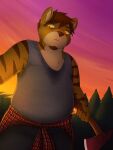  2016 3:4 anthro axe chubby_male clothing felid gabe_(mytigertail) hi_res male mammal melee_weapon mytigertail outside pantherine shirt solo tiger topwear weapon 