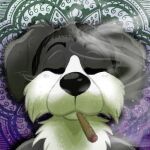  1:1 anthro calm canid canine canis chest_tuft content domestic_dog drugs eyes_closed floppy_ears hair low_res male mammal marijuana tuft victor_mutt vmutt 