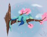  4_ears 5:4 anthro avali avali_(original) blue_body blue_feathers cherry_blossom cherry_tree countershading digitigrade feathered_crest feathered_wings feathers female fruit_tree green_body green_eyes head_crest hi_res luvashi lying multi_ear on_front plant tree wickdoesart winged_arms wings 