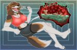  anthro big_breasts bodily_fluids bottomwear breasts burping canid canine canis clothing collie cutaway digestion dog_food dog_treat domestic_dog eating female female_pred herding_dog hi_res internal larger_female macro male male/female male_prey mammal micro midriff navel oral_vore organs pastoral_dog pet_food rumbling_stomach sheepdog shorts size_difference solo_focus stomach stomach_acid vore yutmutt 