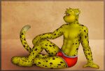  2014 anthro blush bulge cheetah clothed clothing felid feline fur hi_res male mammal mytigertail signature silver_eyes sitting solo topless topless_male yellow_body yellow_fur 