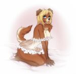  2021 4_toes 5_fingers anthro bare_shoulders barefoot bird_dog black_nose blonde_hair blue_eyes breasts brown_body brown_fur canid canine canis claws cleavage clothed clothing digital_media_(artwork) domestic_dog feet female fingers fur golden_retriever hair hi_res hindpaw humanoid_hands hunting_dog kneeling looking_at_viewer mammal miwwa navel nightgown off_shoulder pawpads paws retriever signature solo toe_claws toes translucent translucent_clothing 