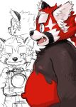  2021 absurd_res ailurid anthro belly black_body black_nose camera clothing cute_fangs hi_res kemono kita_9999 lifewonders male mammal model_sheet moobs multiple_poses navel nipples overweight overweight_male pose red_body red_panda shirt solo tokyo_afterschool_summoners topwear video_games zhurong_(tas) 