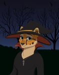  absurd_res anthro cheetah clothing costume detailed_background digital_media_(artwork) felid feline female halloween hi_res holidays julia_(vestina) magic_user mammal night outside redoxx solo witch 