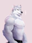  anthro biceps black_nose bottomwear brown_eyes canid canine canis claws clothing fur grey_body grey_fur grey_hair hair hi_res ixkouu looking_at_viewer male mammal muscular neck_tuft pants simple_background solo tuft white_body white_fur wolf 