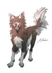 2021 absurd_res akella-yukami ambiguous_gender blue_eyes brown_body brown_fur canid canine canis digital_media_(artwork) domestic_dog feral fur hi_res mammal open_mouth simple_background smile solo teeth tongue white_body white_fur 