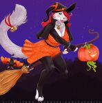  anthro broom chiropteran cleaning_tool domestic_cat felid feline felis female food fruit hi_res kanou magic_user mammal pantherine plant pumpkin solo witch 