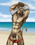 2005 anthro balls biped clothed clothing erection fur genitals hair hi_res hyaenid looking_at_viewer male mammal nipples nude outside penis sea simple_background smile solo text water wooky 