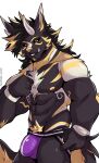  absurd_res anthro bulge clothing egyptian egyptian_mythology felid feline fur hi_res jockstrap male mammal middle_eastern_mythology midnight_blue muscular muscular_male mythology nipples solo tattoo underwear 