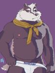  2021 3:4 absurd_res anthro badger belly black_nose bulge clothing hi_res humanoid_hands kemono male mammal moobs mustelid musteline nipples nookdae overweight overweight_male simple_background solo underwear white_body 