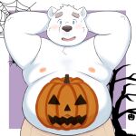  1:1 2021 anthro belly blue_eyes blush food fruit halloween hi_res holidays jack-o&#039;-lantern kemono male mammal moobs nipples overweight overweight_male plant polar_bear pumpkin pumpkin_belly shirane_kan solo ursid ursine utau white_body yaki_atsuage 