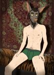  animal_head anthro body_hair chiropteran clothing for_a_head foxmusk hi_res humanoid male mammal nipples pubes solo underwear 