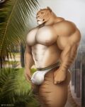  abs anthro areola balls barazoku biceps big_muscles big_pecs biped bulge butt casual_exposure clothed clothing day felid flaccid fur genitals grass hi_res hybrid leaf liger lion mainlion male mammal muscular nipples outside pantherine pecs penis plant purrcules_(character) solo standing striped_body striped_fur stripes tan_body tan_fur thick_thighs translucent translucent_clothing translucent_underwear tree underwear underwear_only vein veiny_penis 