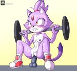  anthro barbell blaze_the_cat blush bodily_fluids clothing crouching dildo dildo_in_pussy dildo_insertion dildo_sitting domestic_cat exercise felid feline felis female flat_chested footwear footwear_only fours_(artist) genitals grimace hi_res mammal mostly_nude penetration pussy sega sex_toy sex_toy_in_pussy sex_toy_insertion sexercise shoes shoes_only simple_background solo sonic_the_hedgehog_(series) squats sweat text url vaginal vaginal_penetration workout 
