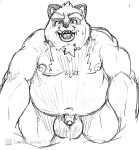  2021 anthro balls belly big_balls canid canine genitals hi_res kemono male mammal monochrome moobs navel nipples overweight overweight_male penis raccoon_dog sakusan_kc simple_background solo tanuki white_background 