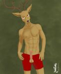  anthro antlers beastars cervid clothing erection genitals hi_res horn louis_(beastars) male mammal muscular nipples penis penis_through_fly poking_out solo tachaal underwear 