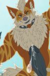  2:3 absurd_res anthro anthrofied arcanine bodily_fluids canid canine canis claws collar cum cum_leaking digital_media_(artwork) domestic_dog dominant dominant_male dripping electroporn erection fangs first_person_view fur genital_fluids genitals hair hi_res humanoid_genitalia humanoid_penis looking_at_viewer lycan_(ikbeanie) male mammal nintendo nude open_mouth penis pok&eacute;mon pok&eacute;mon_(species) pok&eacute;morph precum precum_drip simple_background smile solo standing standing_over stripes submissive submissive_pov teeth tongue video_games 