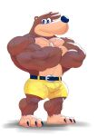  2021 absurd_res anthro banjo-kazooie banjo_(banjo-kazooie) barazoku belt biceps big_muscles bottomwear bulge claws clothed clothing crossed_arms dumbandgreen frown fur hi_res huge_muscles jewelry looking_at_viewer male mammal muscular muscular_anthro muscular_male necklace pecs rareware shorts simple_background solo standing thick_thighs topless topless_male triceps tuft ursid video_games white_background 