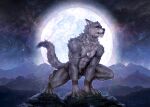  absurd_res amulet anthro athletic athletic_anthro athletic_male canid canine canis chest_tuft clawed_feet clawed_fingers clothed clothing crouching detailed_background fangs far_beyond_the_world_(series) fluffy fur green_eyes head_tuft hi_res light male mammal moon moonlight mountain_range multicolored_body multicolored_fur neck_tuft partially_clothed ranok_(far_beyond_the_world) s_anima solo stary_night tuft two_tone_body two_tone_fur video_games visual_novel wolf 