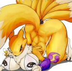  anal anal_penetration anthro ass_up bandai_namco big_breasts blush bottomless breasts butt buttplug buttplug_in_ass buttplug_insertion buttplug_tail censored clothed clothing cottontail digimon digimon_(species) fake_tail female fur hi_res nipple_outline penetration plug_(sex_toy) plug_insertion renamon sex_toy sex_toy_in_ass sex_toy_insertion simple_background solo white_background yellow_body yellow_fur 