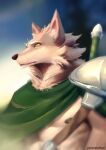  anthro armor athletic athletic_anthro athletic_male blurred_background canid canine canis cape chest_tuft clothed clothing far_beyond_the_world_(series) fur green_eyes head_tuft kurooo leather_straps male mammal melee_weapon multicolored_body multicolored_fur neck_tuft nipples partially_clothed ranok_(far_beyond_the_world) shoulder_guards simple_background solo sword tuft two_tone_body two_tone_fur video_games visual_novel weapon weapon_on_back wolf 