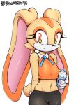  aged_up anthro breasts camel_toe clothed clothing cream_the_rabbit female kyodashiro lagomorph leporid mammal rabbit sega simple_background small_breasts solo sonic_the_hedgehog_(series) white_background 