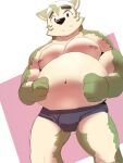  anthro bandanna belly biceps bulge canid canine canis clothing domestic_dog embarrassed eyebrows fur goldlightyou green_body green_fur hi_res kerchief lifewonders live-a-hero male mammal mokdai musclegut navel nipples pecs solo thick_eyebrows underwear video_games 