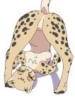  2021 absurd_res anthro breasts butt cheetah featureless_breasts featureless_crotch felid feline female front_view frown fur hi_res kemokin_mania mammal nude semi-anthro shoulder_stand simple_background solo spots tan_body tan_fur white_background yellow_eyes 