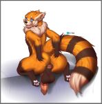  ailurid anthro anus balls butt digital_media_(artwork) erection genitals hi_res looking_at_viewer male mammal maxx-ros nude open_mouth penis red_panda simple_background solo spread_anus spreading timepanda tongue 