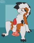  abdominal_bulge anal anal_masturbation anal_penetration animal_genitalia animated anthro anthro_penetrated balls blush bouncing_balls bouncing_penis breath claws clenched_teeth dildo dildo_in_ass dildo_insertion erection feral genitals leaning leaning_back lycanroc male male_penetrated masturbation midnight_lycanroc nintendo panting penetration penis pocketpaws pok&eacute;mon pok&eacute;mon_(species) sex_toy sex_toy_in_ass sex_toy_insertion sheath short_playtime solo teeth video_games 