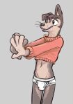  anthro briefs brown_body brown_fur buddy_thunderstruck_(character) buddy_thunderstruck_(series) bulge clothing fur hi_res male mindkog open_mouth red_clothing red_sweater red_topwear smile solo sweater tagme tan_body tan_fur teeth_showing tighty_whities topwear underwear whiskers white_briefs white_clothing white_underwear 