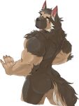  3:4 ajhon001 anthro biceps black_nose brown_body brown_fur butt canid canine canis domestic_dog fur german_shepherd herding_dog hi_res humanoid_hands looking_at_viewer male mammal muscular muscular_anthro muscular_male nude pastoral_dog simple_background solo standing white_background yellow_eyes 