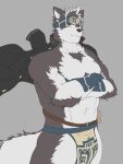 3:4 accessory anthro armwear better_version_at_source biped black_clothing black_jacket black_topwear bottomwear canid canine canis clothed clothing crossed_arms fur grey_background grey_body grey_fur headband hi_res horkeukamui ioenami88 jacket lifewonders loincloth looking_at_viewer male mammal muscular muscular_anthro muscular_male simple_background solo tokyo_afterschool_summoners topwear video_games wolf yellow_eyes 