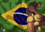  anthro anus balls bonner_(character) brazil brazilian_flag brown_body brown_fur butt canid canine canis countershading digital_media_(artwork) dobermann domestic_dog fur genitals hand_on_butt hi_res humanoid_genitalia humanoid_hands humanoid_penis looking_at_viewer low-angle_view male mammal muscular muscular_male nexus nude penis pinscher portuguese_text pose rear_view solo teeth text vein veiny_arms veiny_penis yellow_body yellow_countershading 