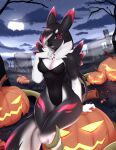  2021 5_fingers bandai_namco black_hair canid canine detailed_background digimon digimon_(species) digital_media_(artwork) duo female fingers fluffyroko food fruit hair hi_res mammal moon night outside plant pumpkin red_eyes renamon sky smile star starry_sky 