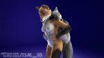  3d_(artwork) anal anal_penetration animated anthro bouncing_breasts breasts canid canine canis digital_media_(artwork) duo female female_penetrated fox fur grey_body grey_fur interlocked_fingers isal loop male male/female male_penetrating male_penetrating_female mammal orange_body orange_fur penetration penile penile_penetration sex short_playtime watermark wolf 