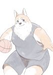  2021 absurd_res anthro ball basketball basketball_(ball) basketball_uniform bottomwear canid canine canis clothing domestic_dog en_1_9 hi_res humanoid_hands kemono male mammal overweight overweight_male shirt shorts simple_background solo sportswear topwear uniform 