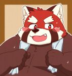  2021 ailurid anthro black_nose blush brown_body cute_fangs hi_res humanoid_hands kemono male mammal overweight overweight_male portrait red_body red_panda shibuya_2810 simple_background solo towel towel_around_neck 