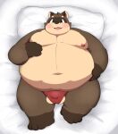  2021 anthro asian_clothing balls bed belly brown_body bulge canid canine clothing east_asian_clothing fundoshi furniture genitals hi_res humanoid_hands japanese_clothing kemono kusosensei lying male mammal moobs navel nipples obese obese_male overweight overweight_male pillow raccoon_dog red_clothing red_fundoshi red_underwear shoutaro solo tanuki underwear 